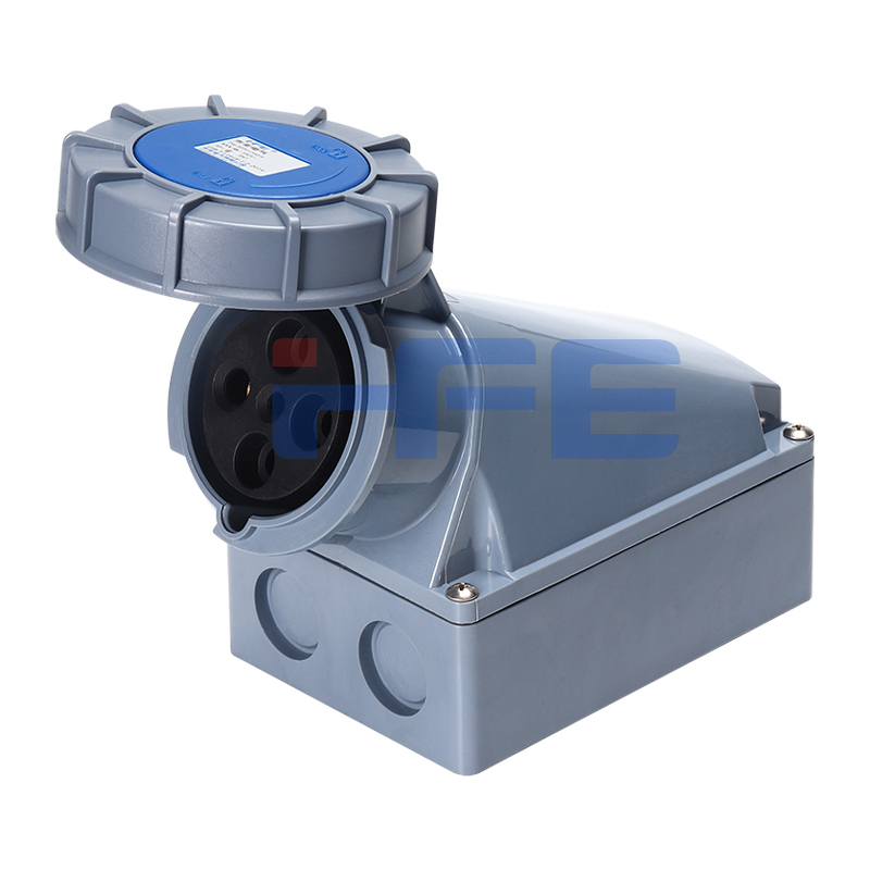 1342-9 IP67 63A 4P